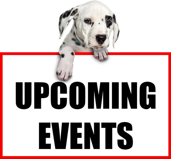 Events Near Me Spot Laundromat s Event Schedule