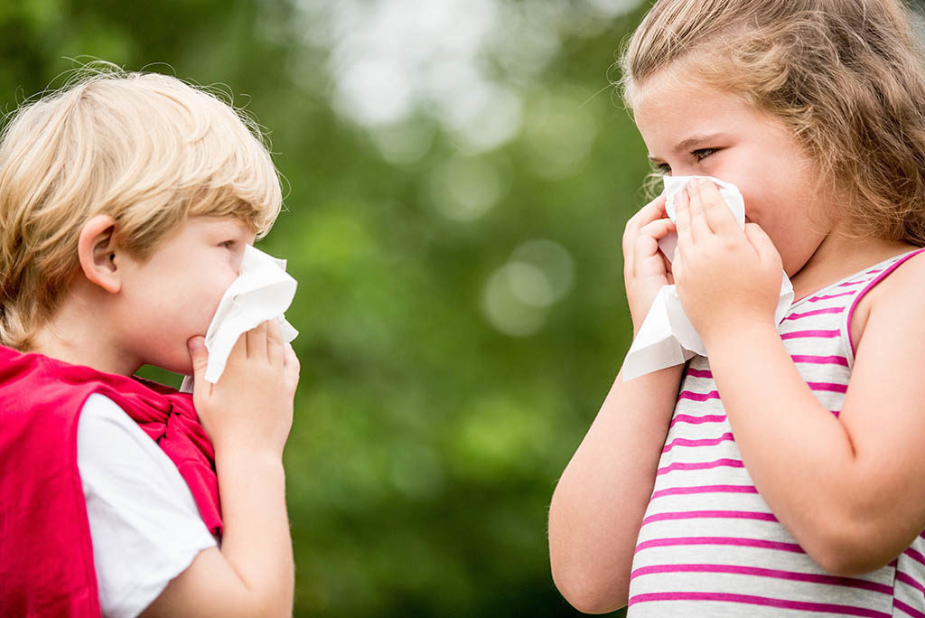Kids with hay fever or the flue sneezing and cleaning nose with