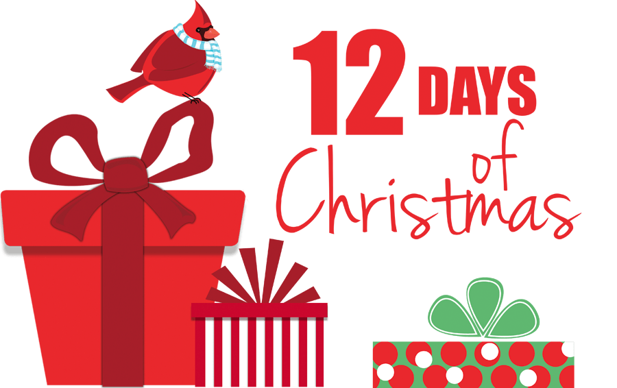12 Days of Christmas contest