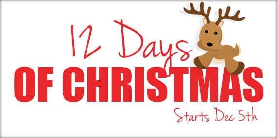 12 Days of Christmas Contest 2022