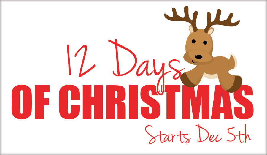 12 Days of Christmas Contest 2022