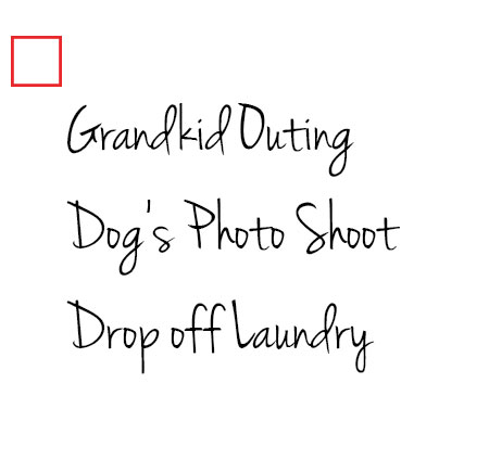 Grandkid outing, Dog's photo shoot, Drop off laundry