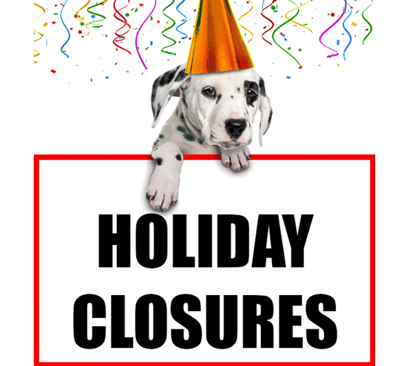 Spot's Holiday Closures and Delays